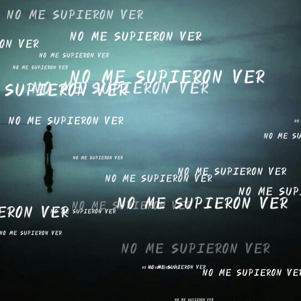Portada de no me supieron ver